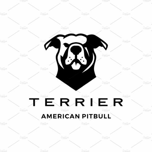 american pit bull pitbull terrier cover image.