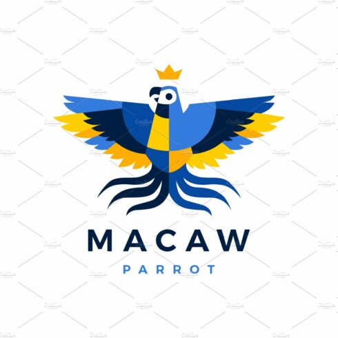 macaw parrot crown blue yellow bird cover image.