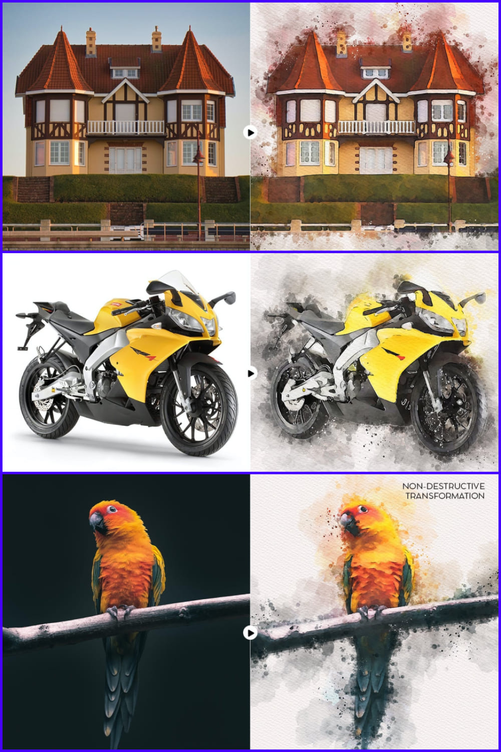 Collage of photos of a house, a motorcycle, a parrot with a watercolor effect.