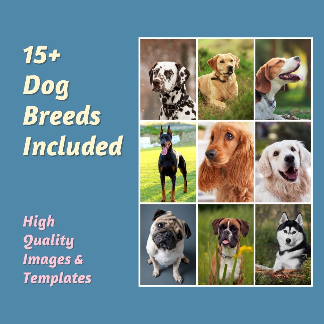 35 Cute Dog Pinterest Templates - Mega Bundle preview image.