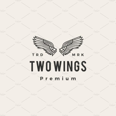 two wings hipster vintage logo cover image.