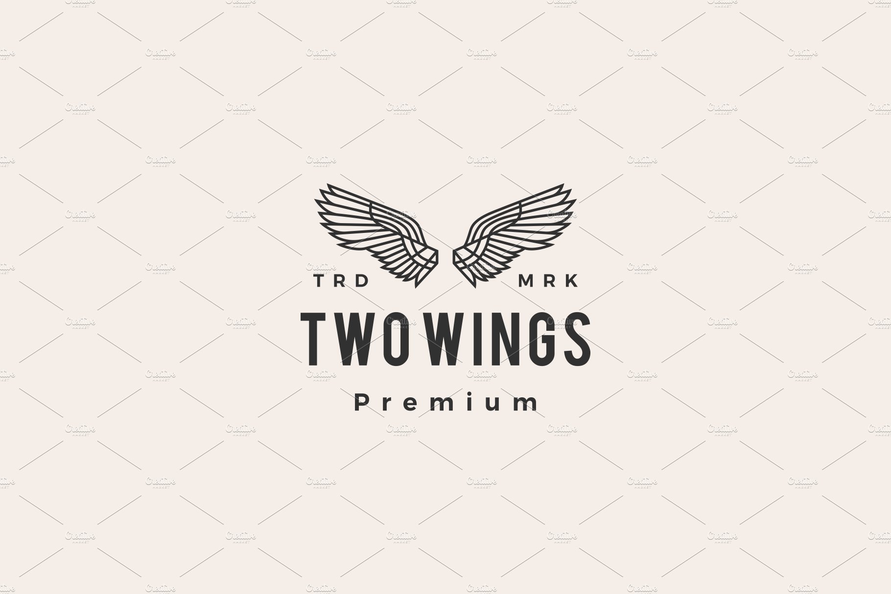 two wings hipster vintage logo cover image.