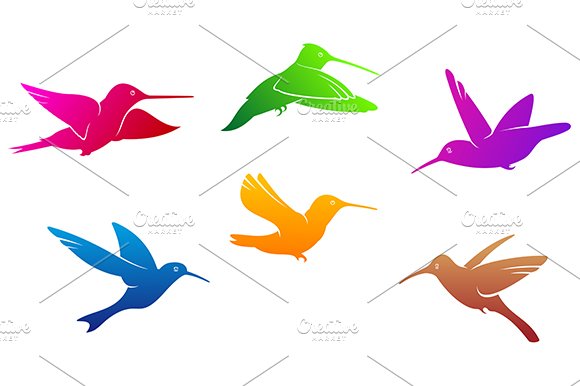 Hummingbirds symbols cover image.