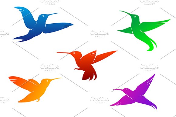 Flying hummingbirds cover image.