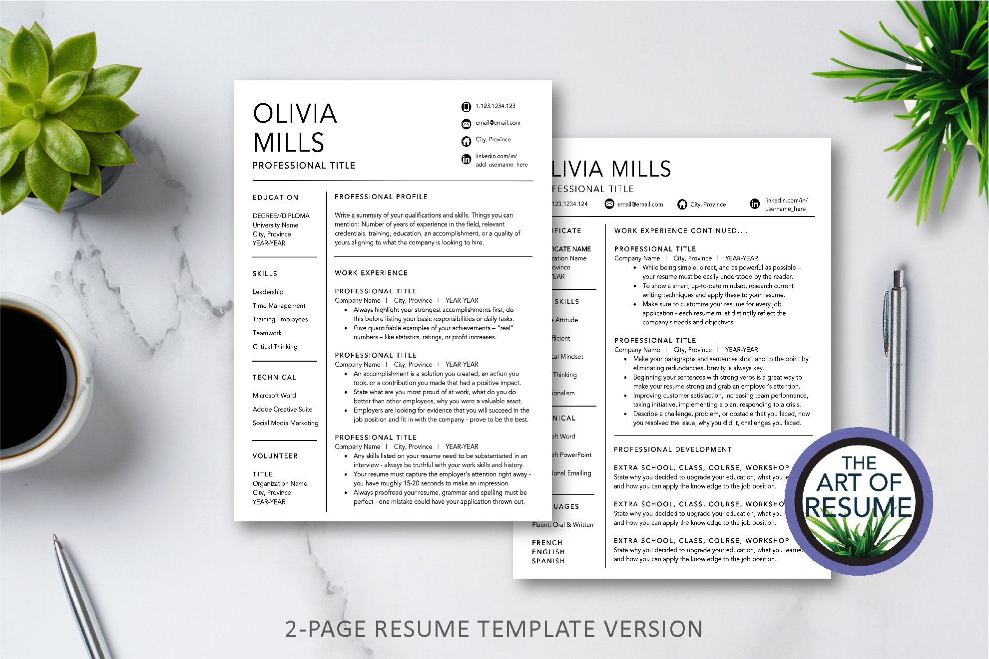 3 resume template design resume 845