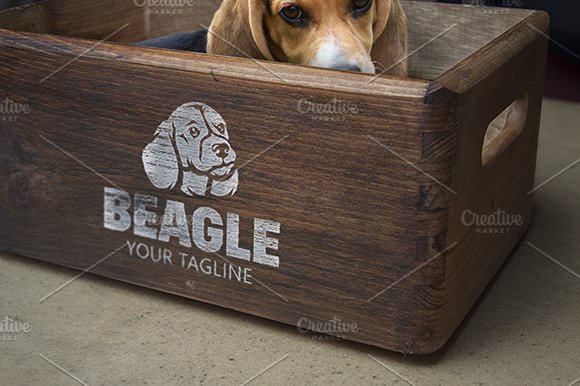 Beagle cover image.