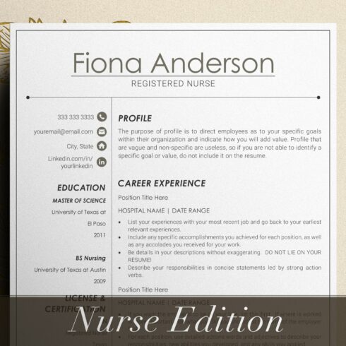 Professional nurse resume with a gold border.