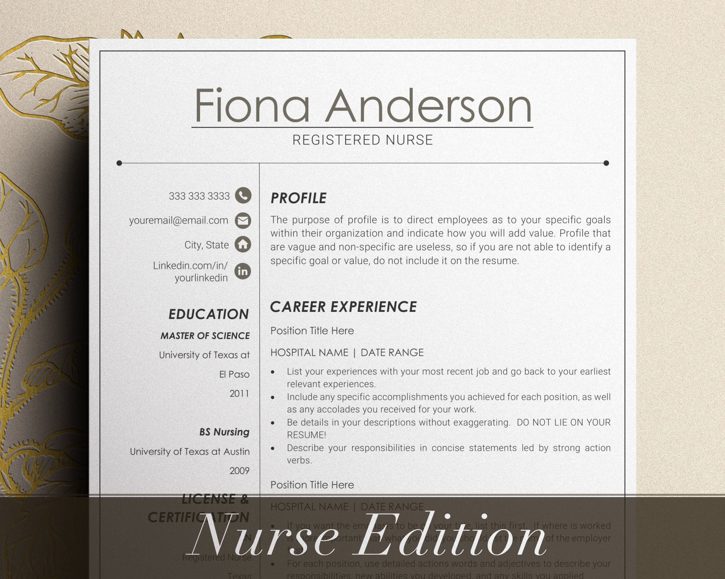 Professional nurse resume with a gold border.