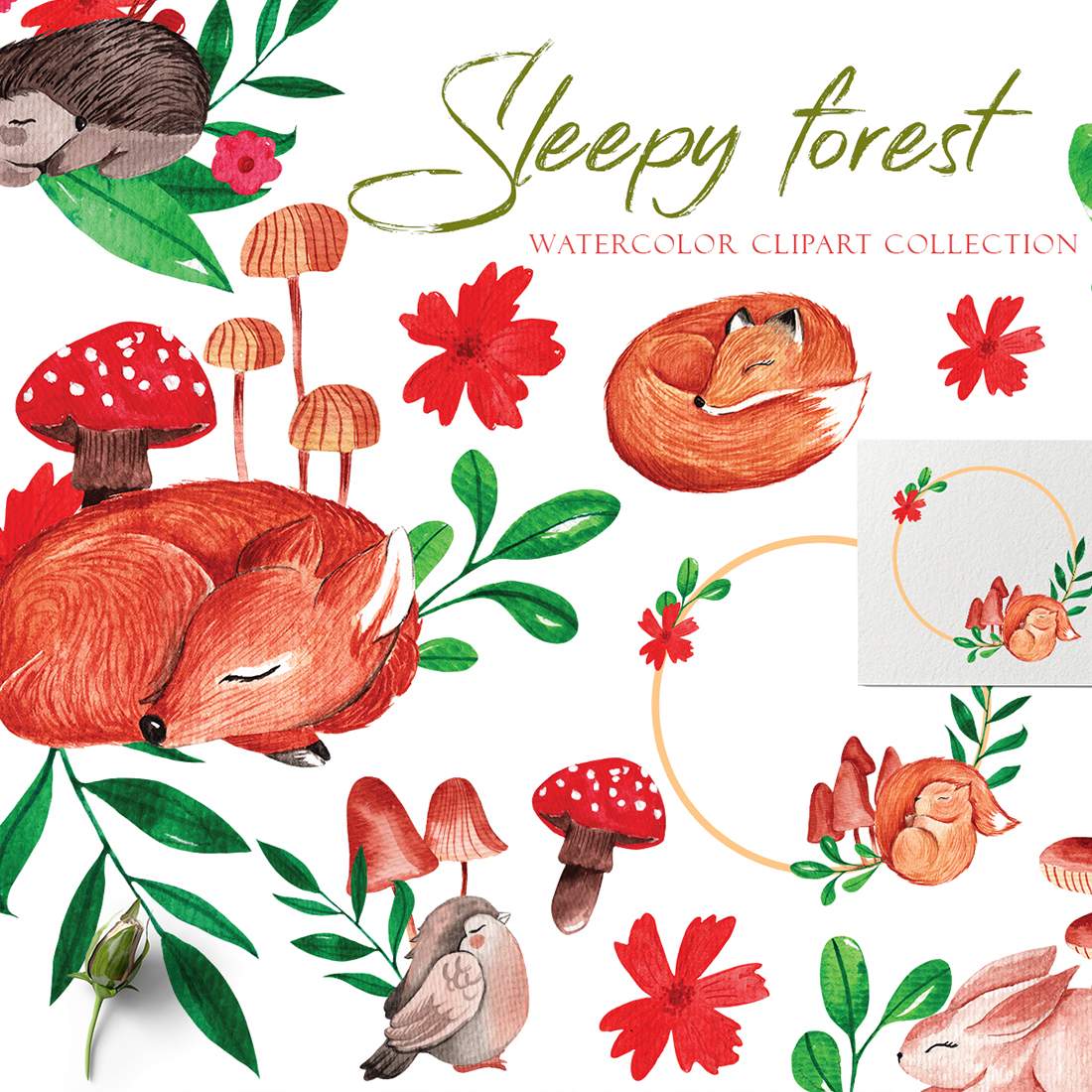 Sleepy Forest woodland animals Watercolor Clipart Set cover image.