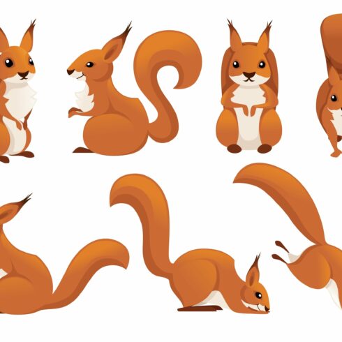 Cute cartoon squirrel set. Funny cover image.