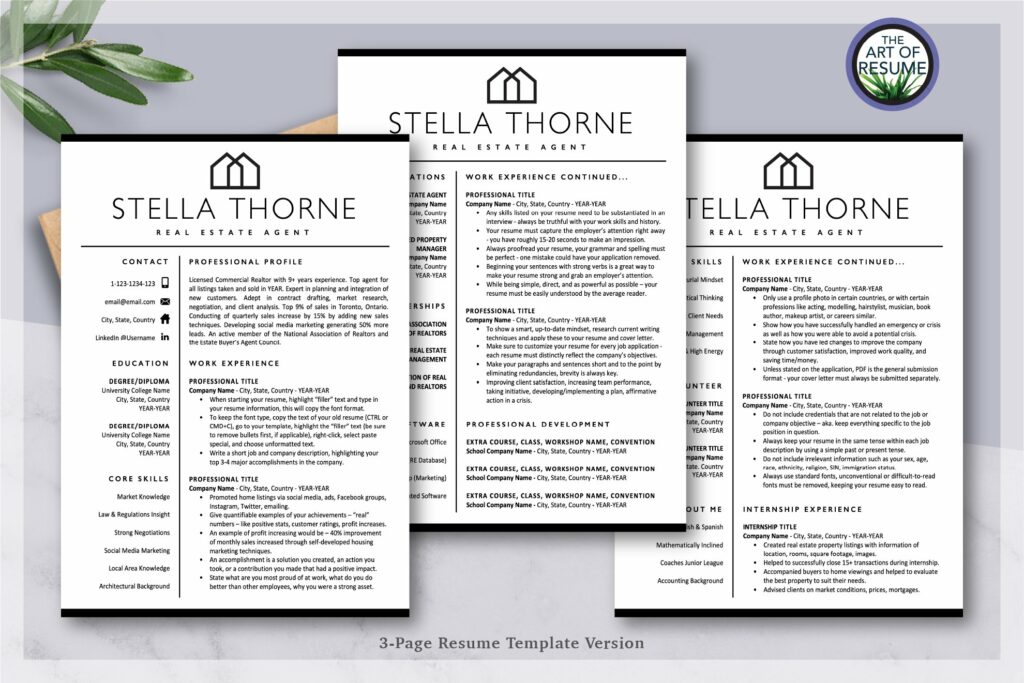 Resume Template Real Estate Agent CV – MasterBundles