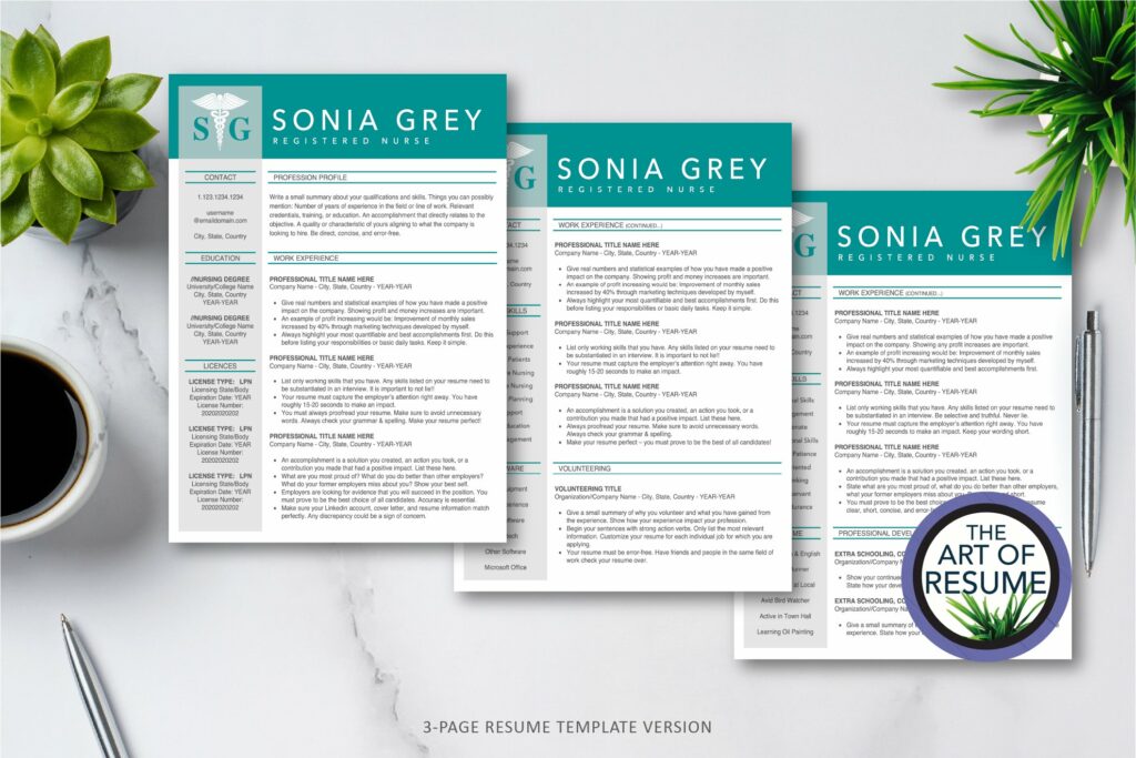 RN Nurse Resume CV Template Design – MasterBundles