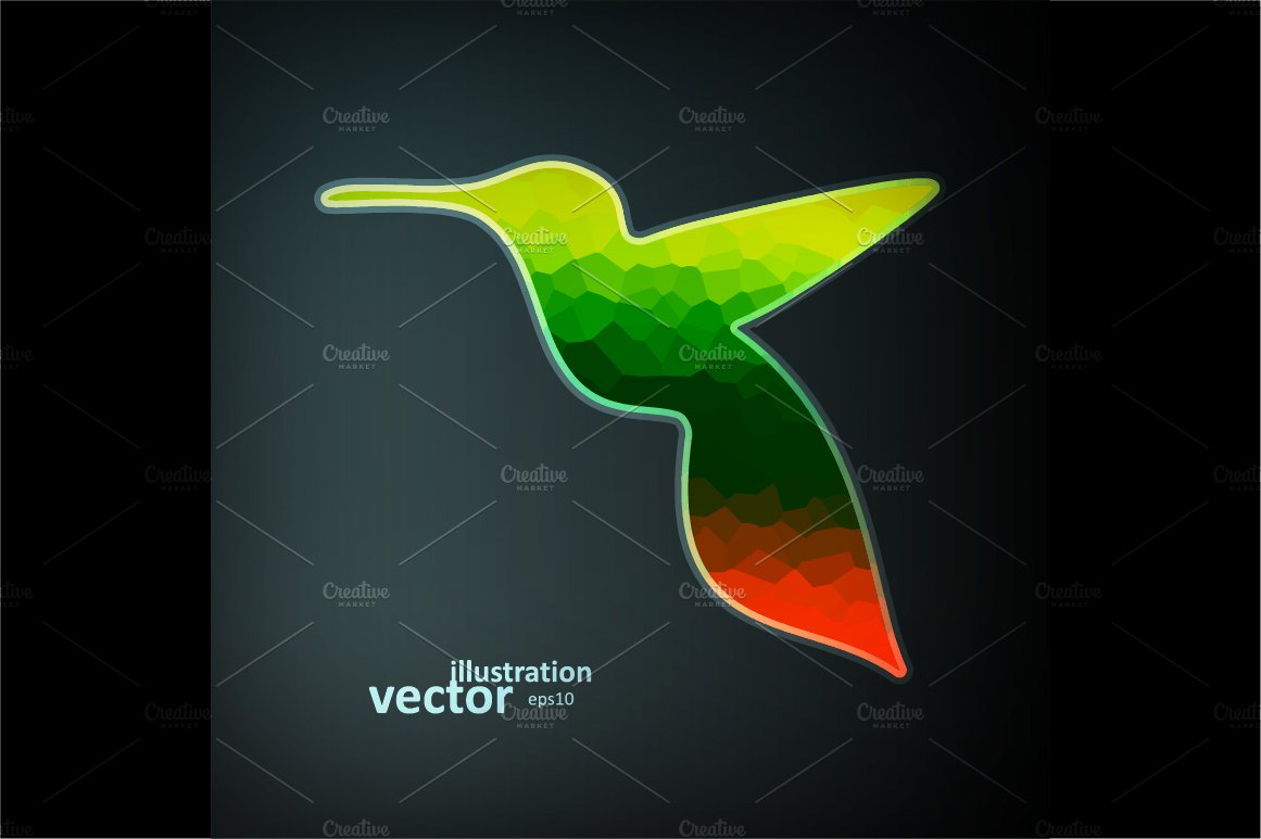 Colorful hummingbird preview image.