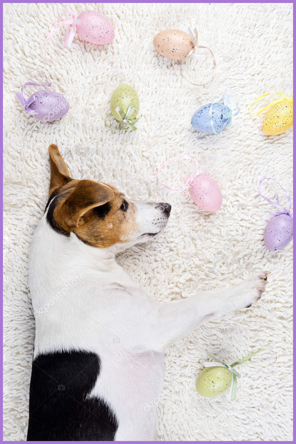 Easter eggs with funny puppy in white rug.