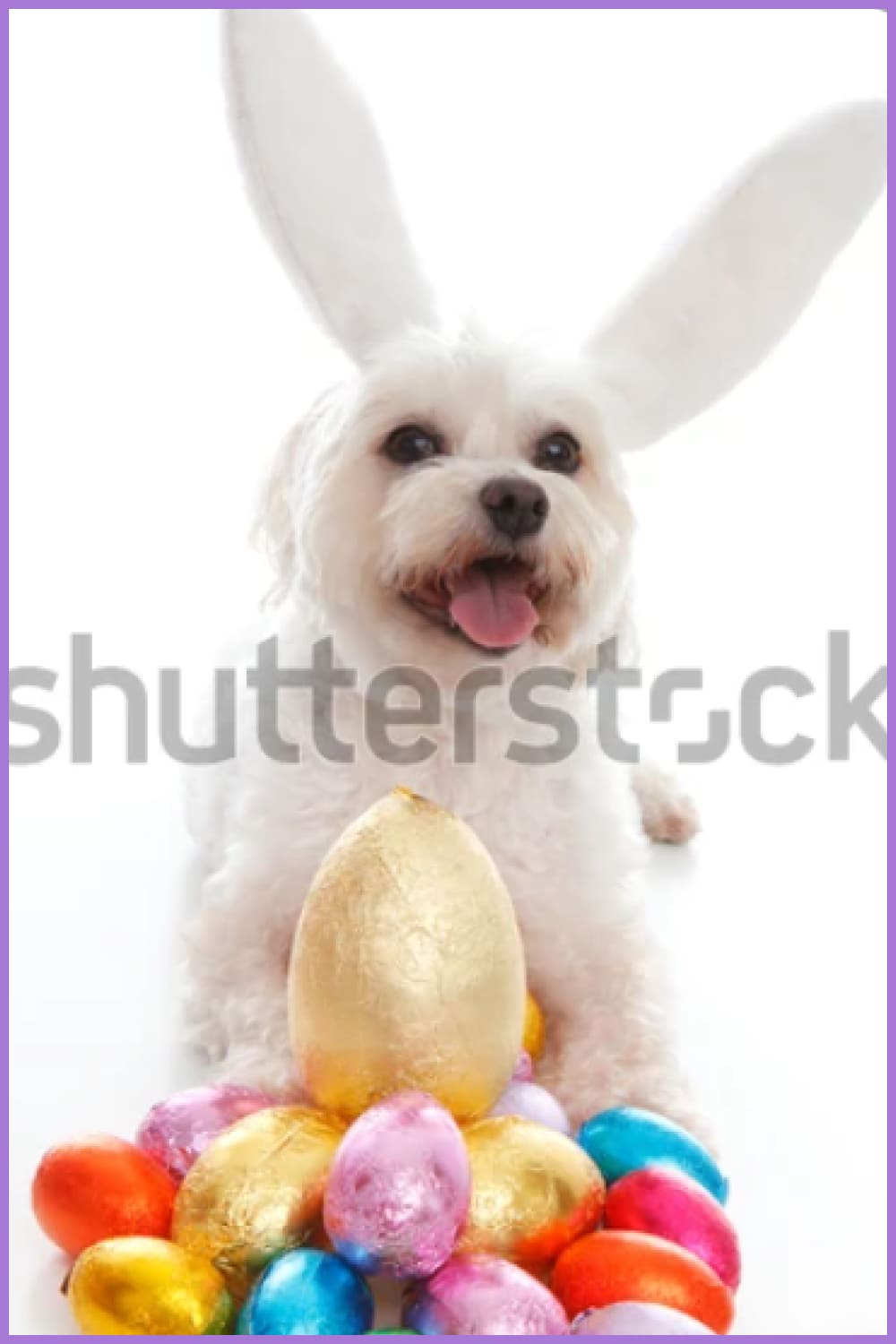 A happy easter bunny dog with lots of easter eggs.