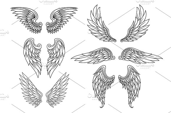 Heraldic wings set cover image.