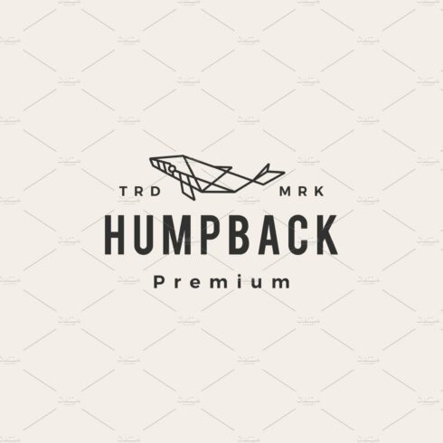 humpback whale hipster vintage logo cover image.