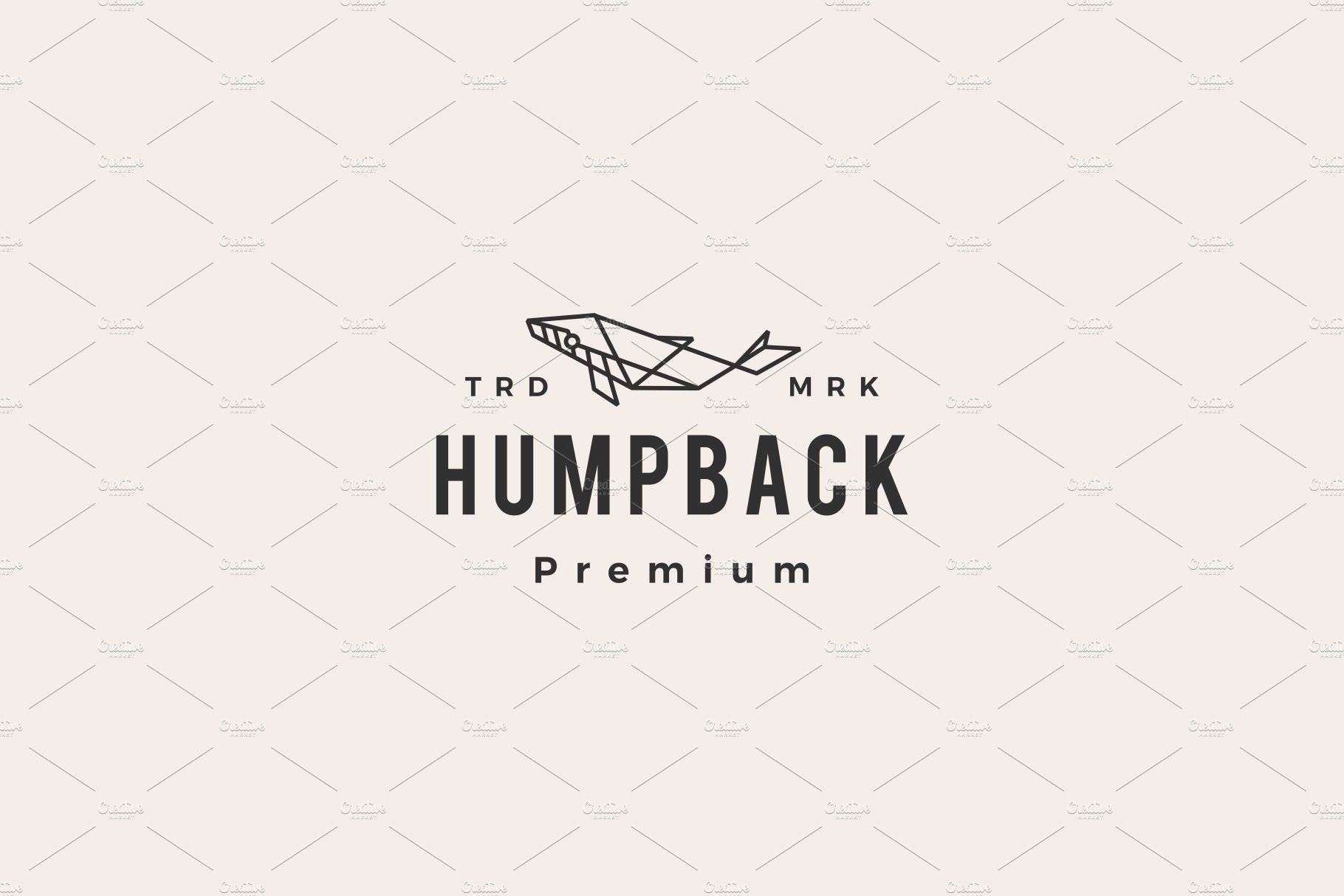 humpback whale hipster vintage logo cover image.