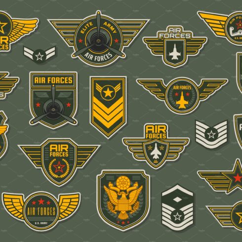 Army air forces, airborne badges cover image.