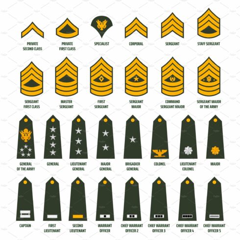 USA army enlisted ranks chevrons cover image.