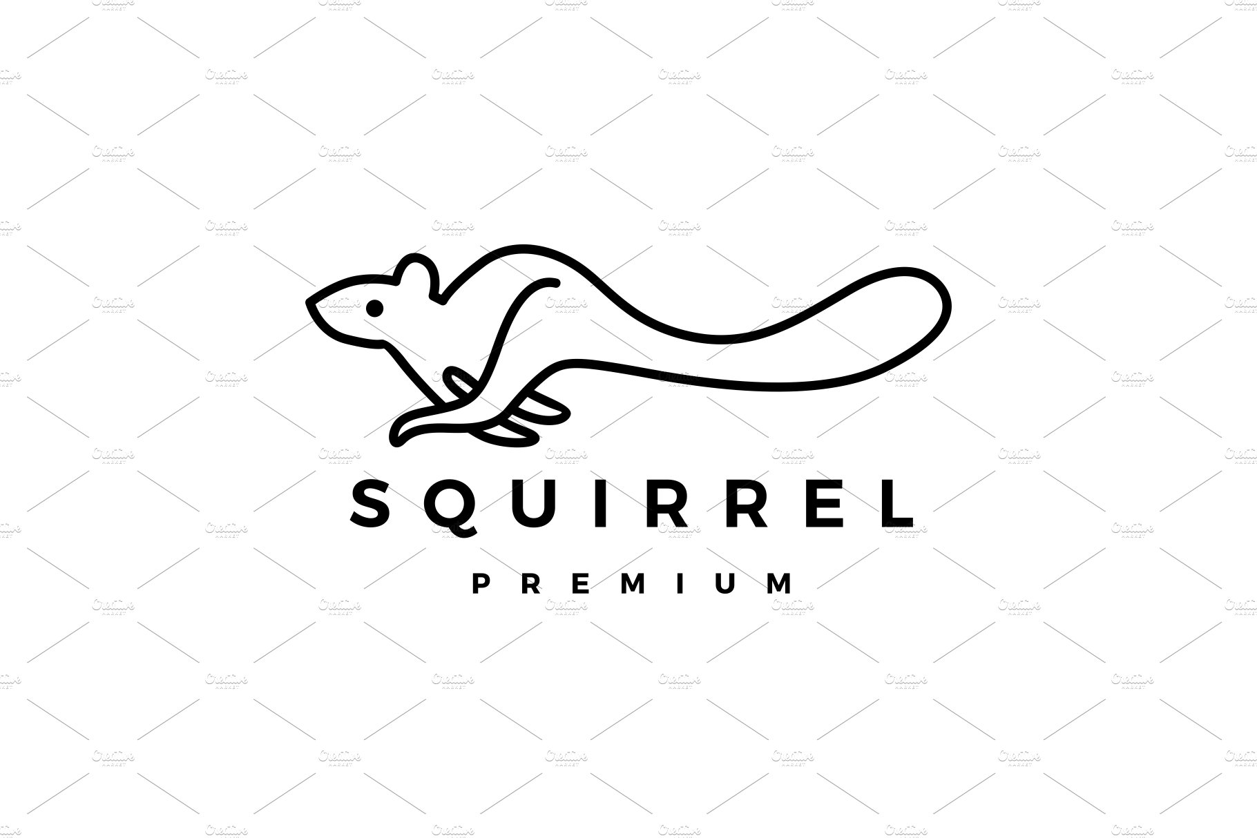squirrel logo vector icon cover image.