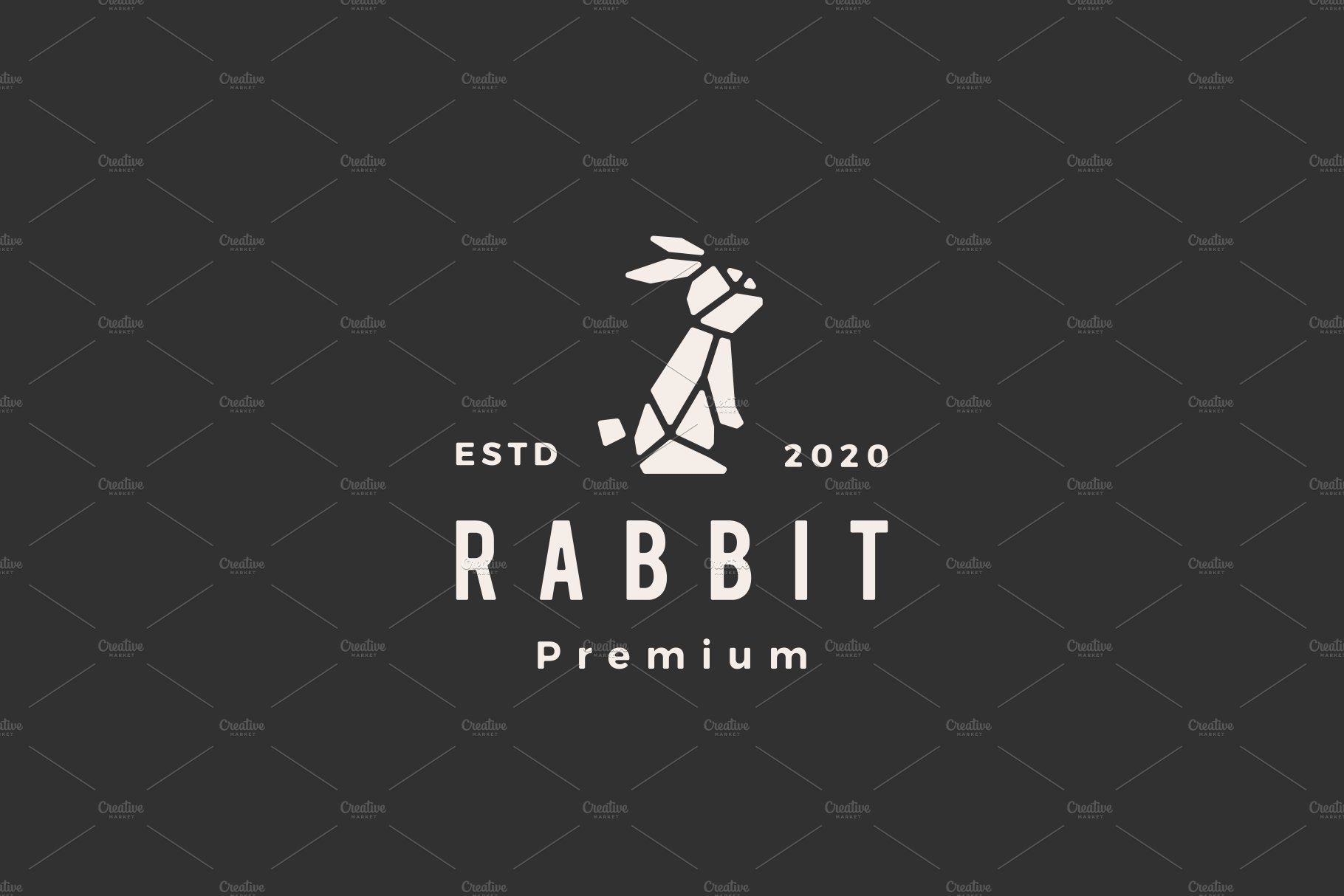 geometric rabbit hare bunny hipster cover image.