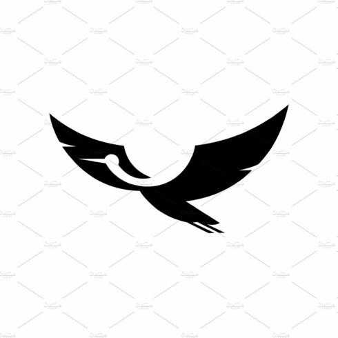 pigeon dove logo icon design cover image.