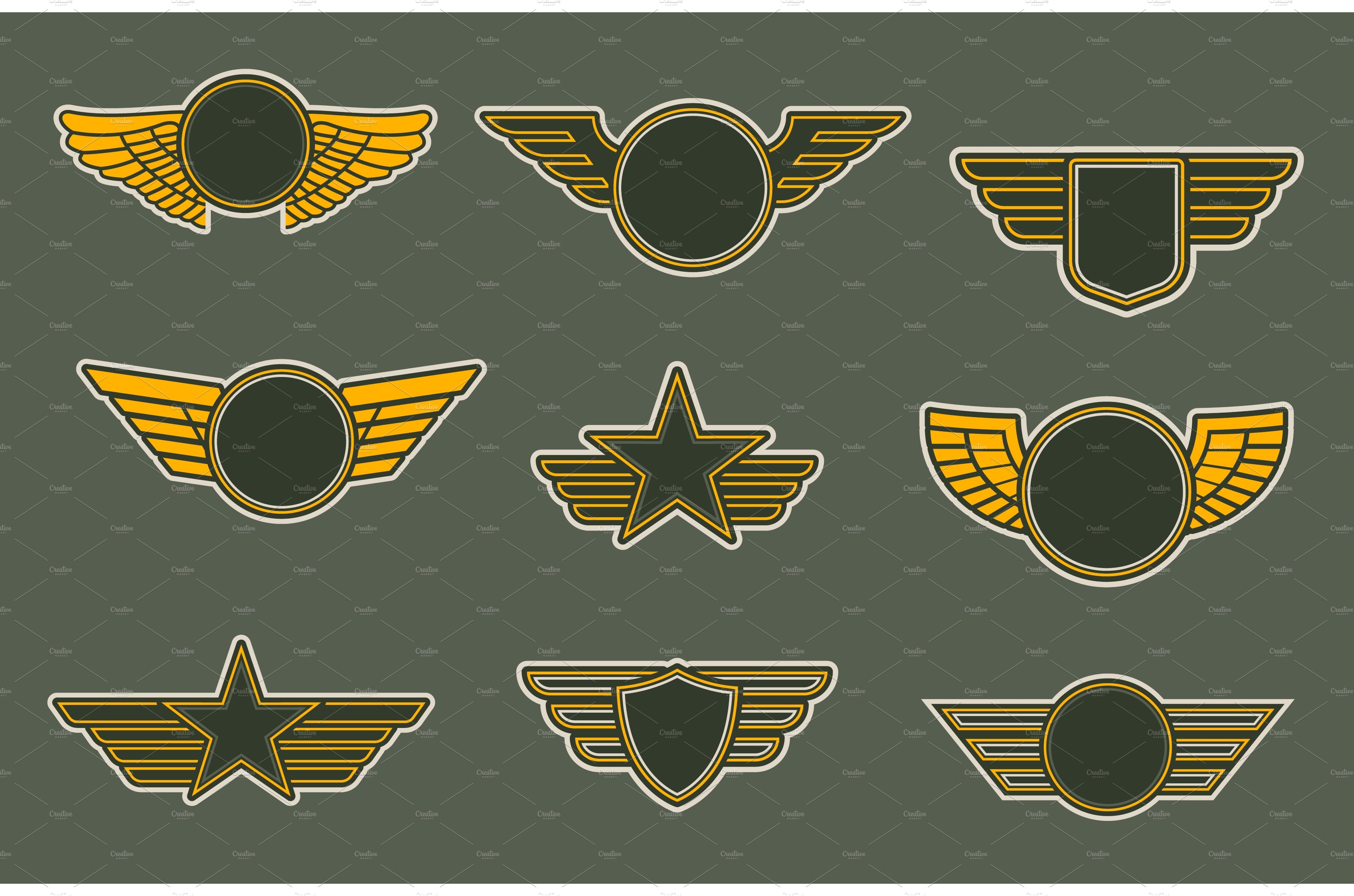 Army patches with wings, heraldry cover image.