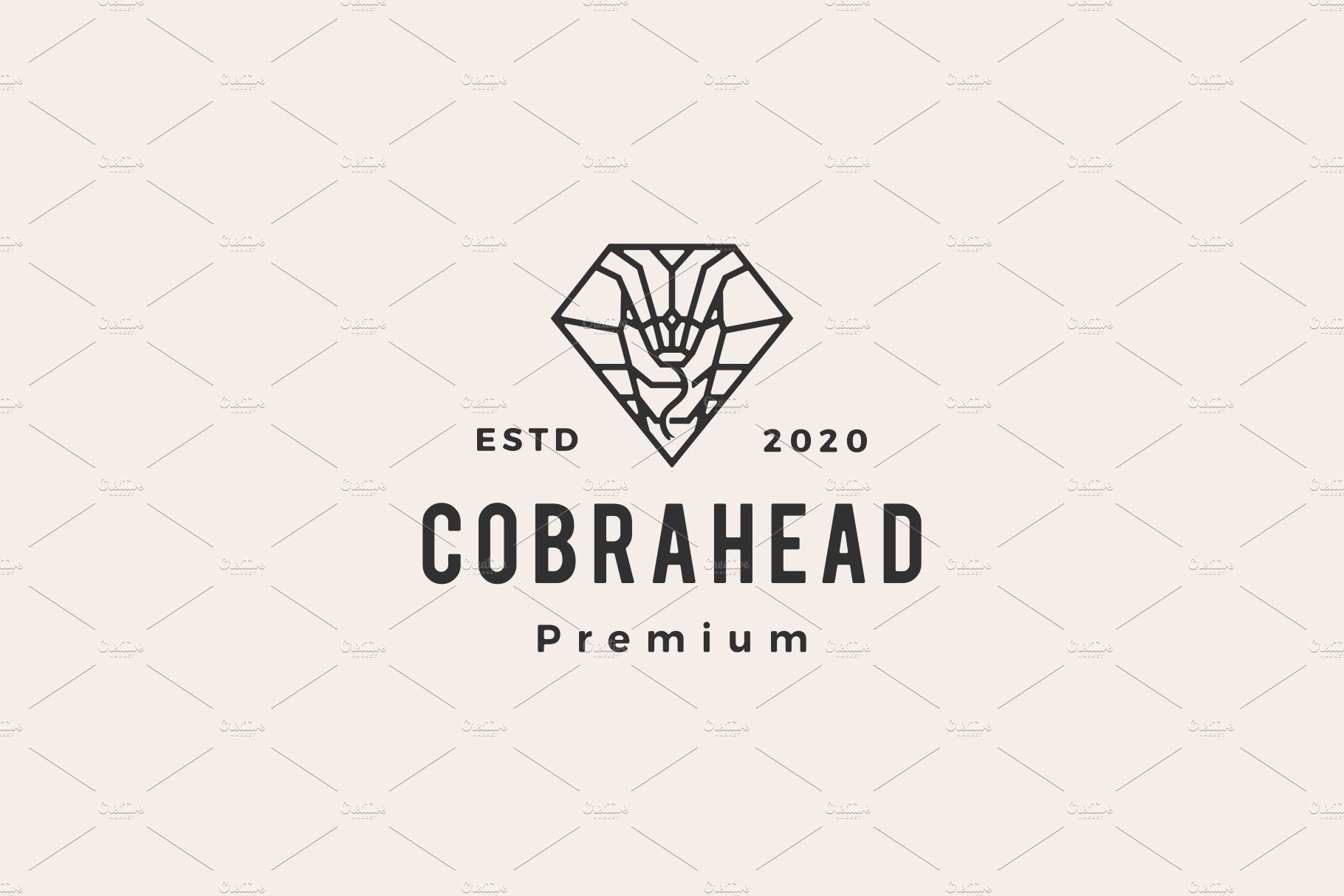 cobra in diamond shape hipster cover image.