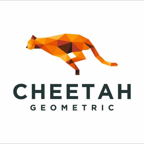 cheetah geometric colorful logo cover image.