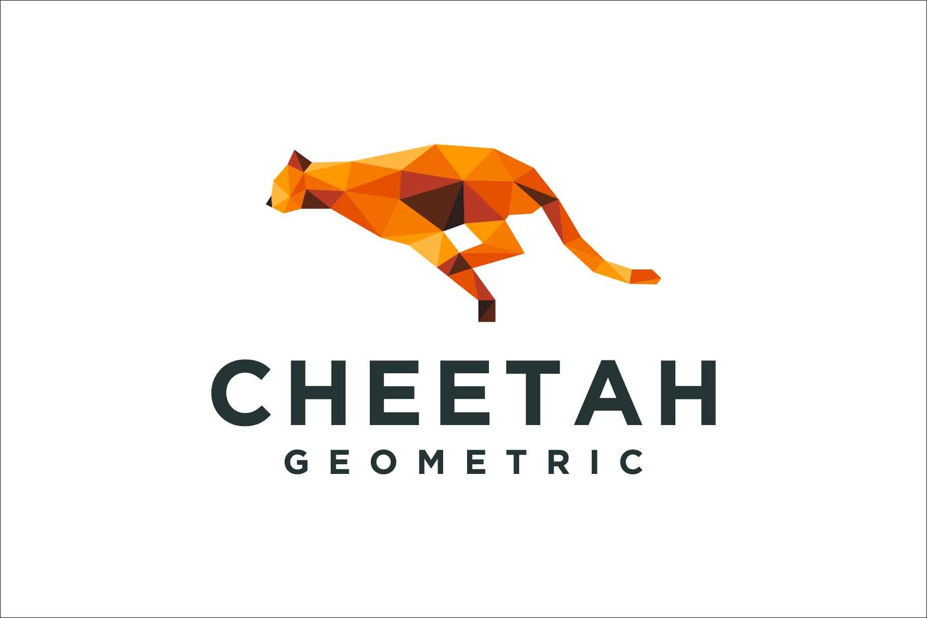 cheetah geometric colorful logo cover image.