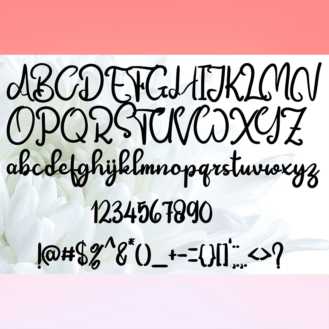 Handwritten font with a flower on a pink background.