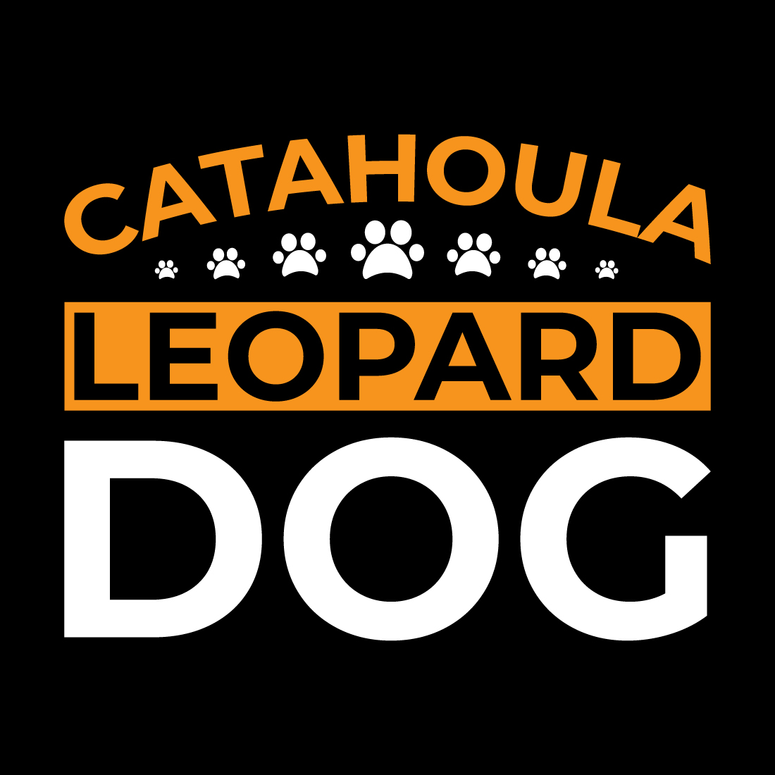 Catahoula leopard dog is on a black background.