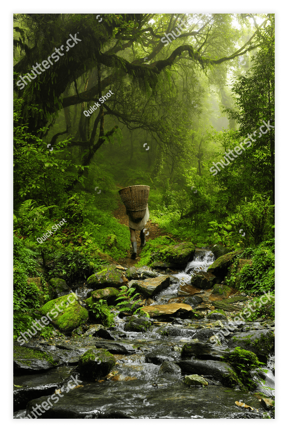 Nepal Jungle.