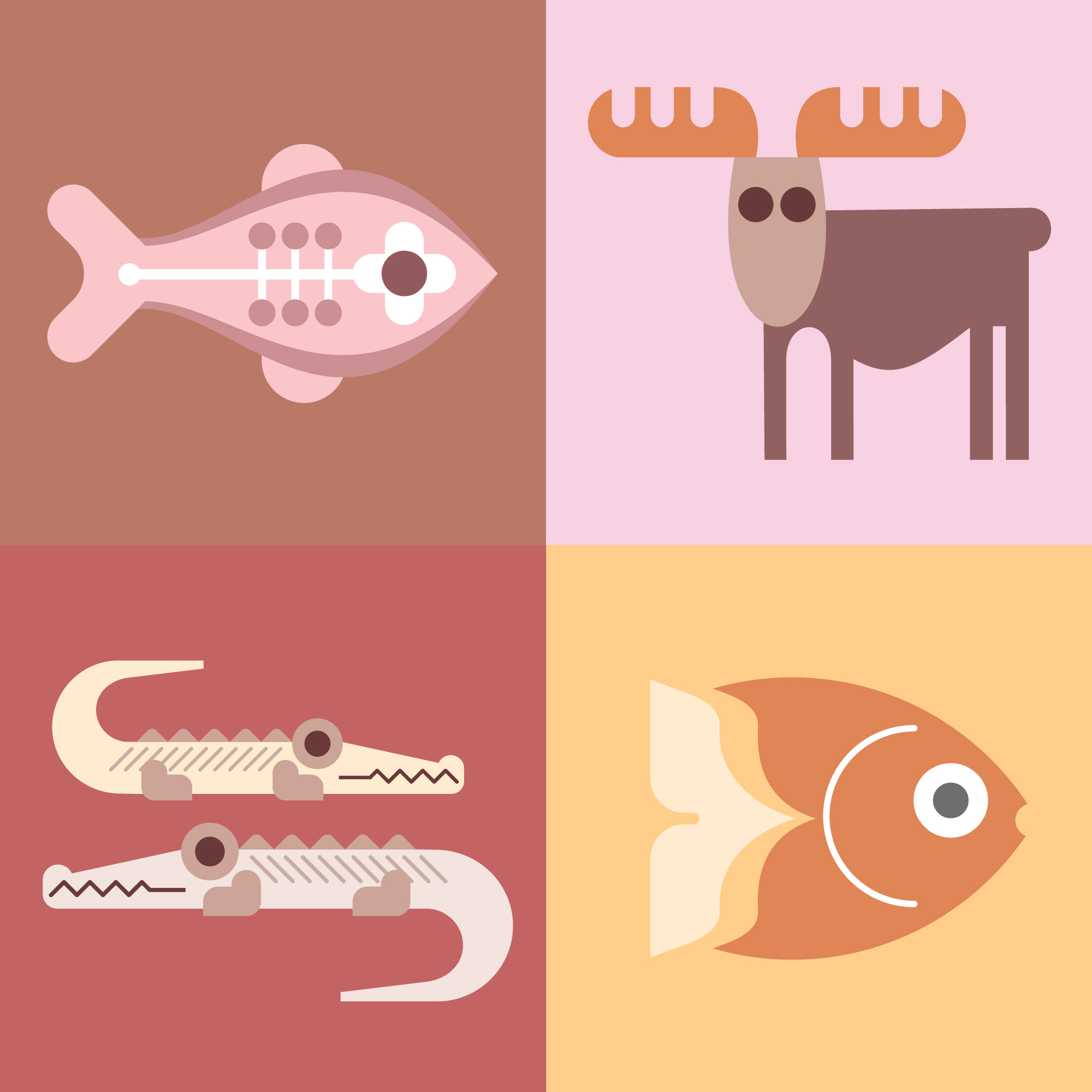 Four different types of fish and alligators.