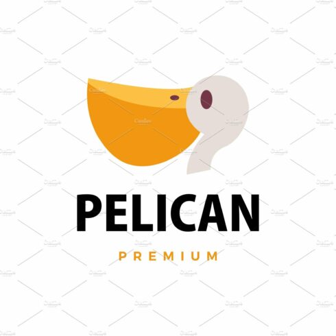 pelican flat logo vector icon cover image.