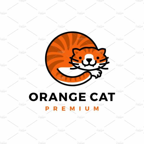 orange cat logo vector icon cover image.