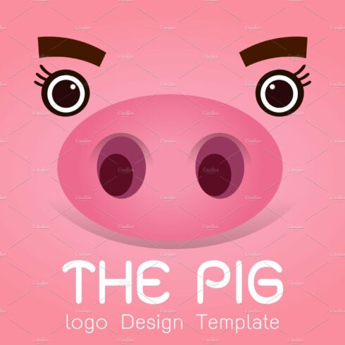 Pig logo design cover image.