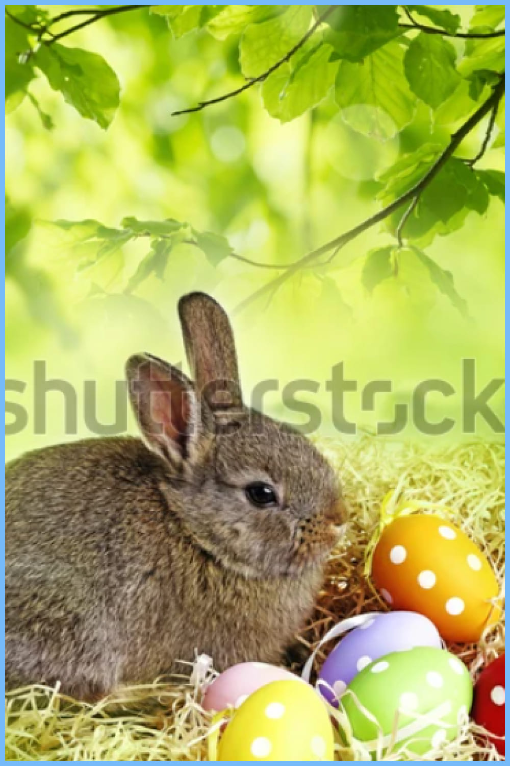 Easter rabbit and easter eggs on a grass.