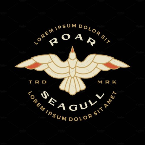 seagull badge roar flying logo cover image.