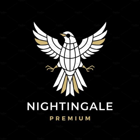 nightingale bird logo vector icon cover image.