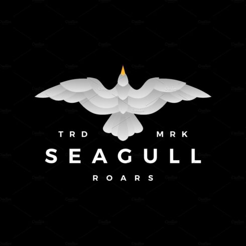 seagull gradient roar flying logo cover image.