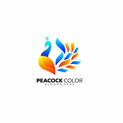 peacock logo design gradient color cover image.