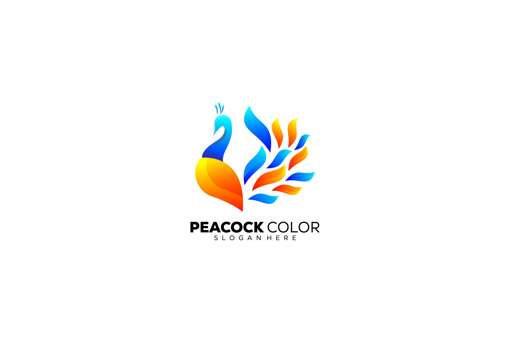 peacock logo design gradient color cover image.