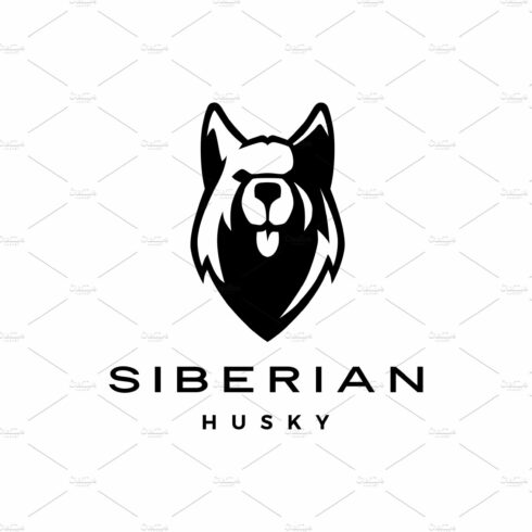 siberian husky dog race head face cover image.