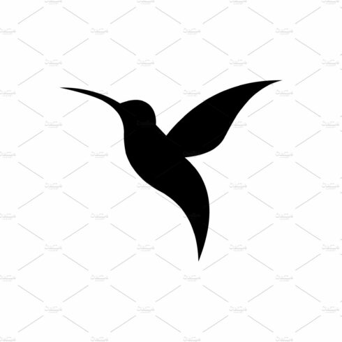hummingbirds logo vector design cover image.