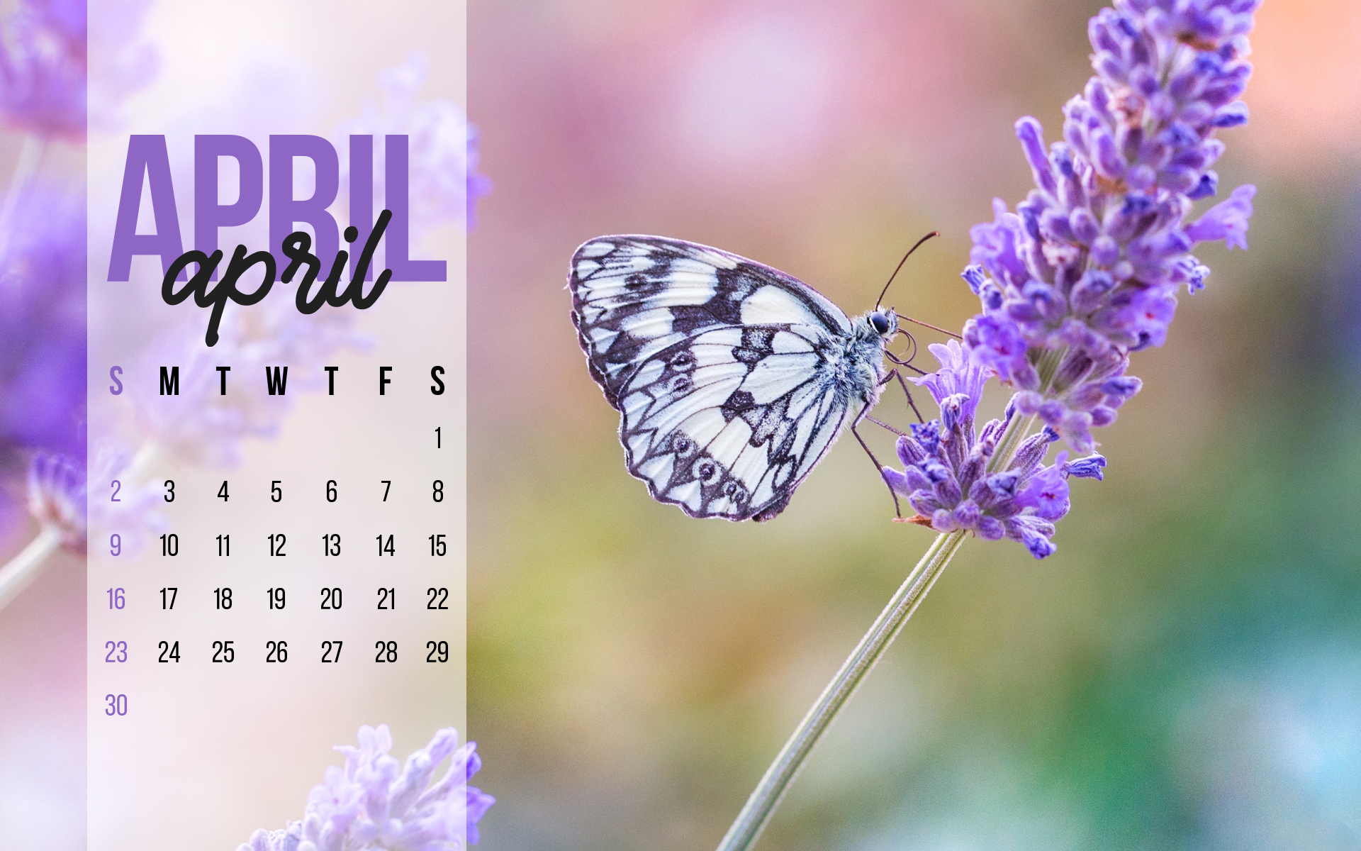 Calendar with a butterfly sitting on a flower.