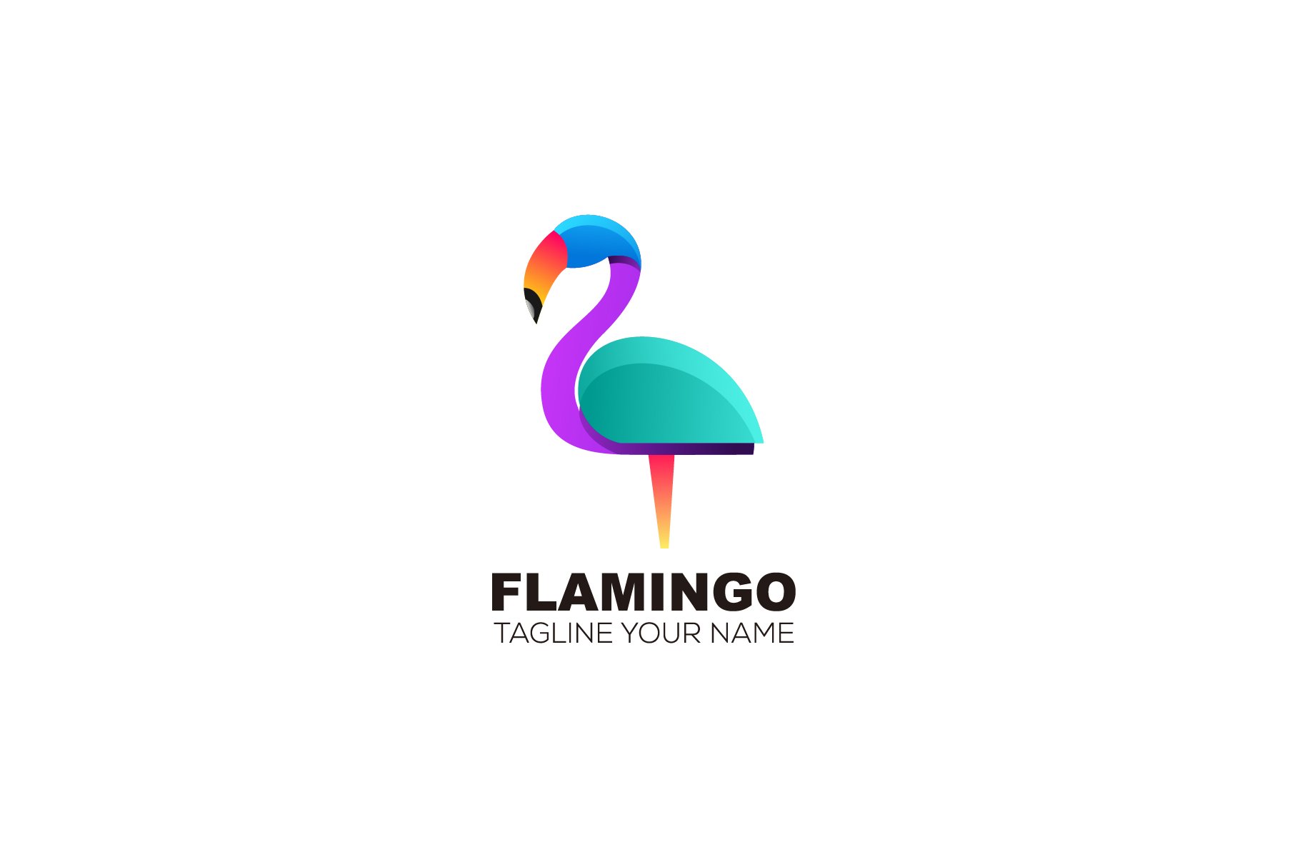 flamingo colorful design vector logo cover image.
