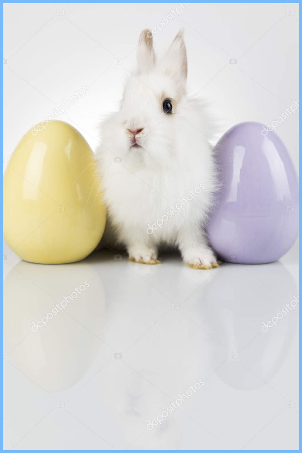 Happy easter, Baby bunny, rabbit and white background.