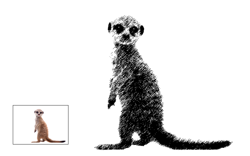 Drawing of a meerkat with a white background.